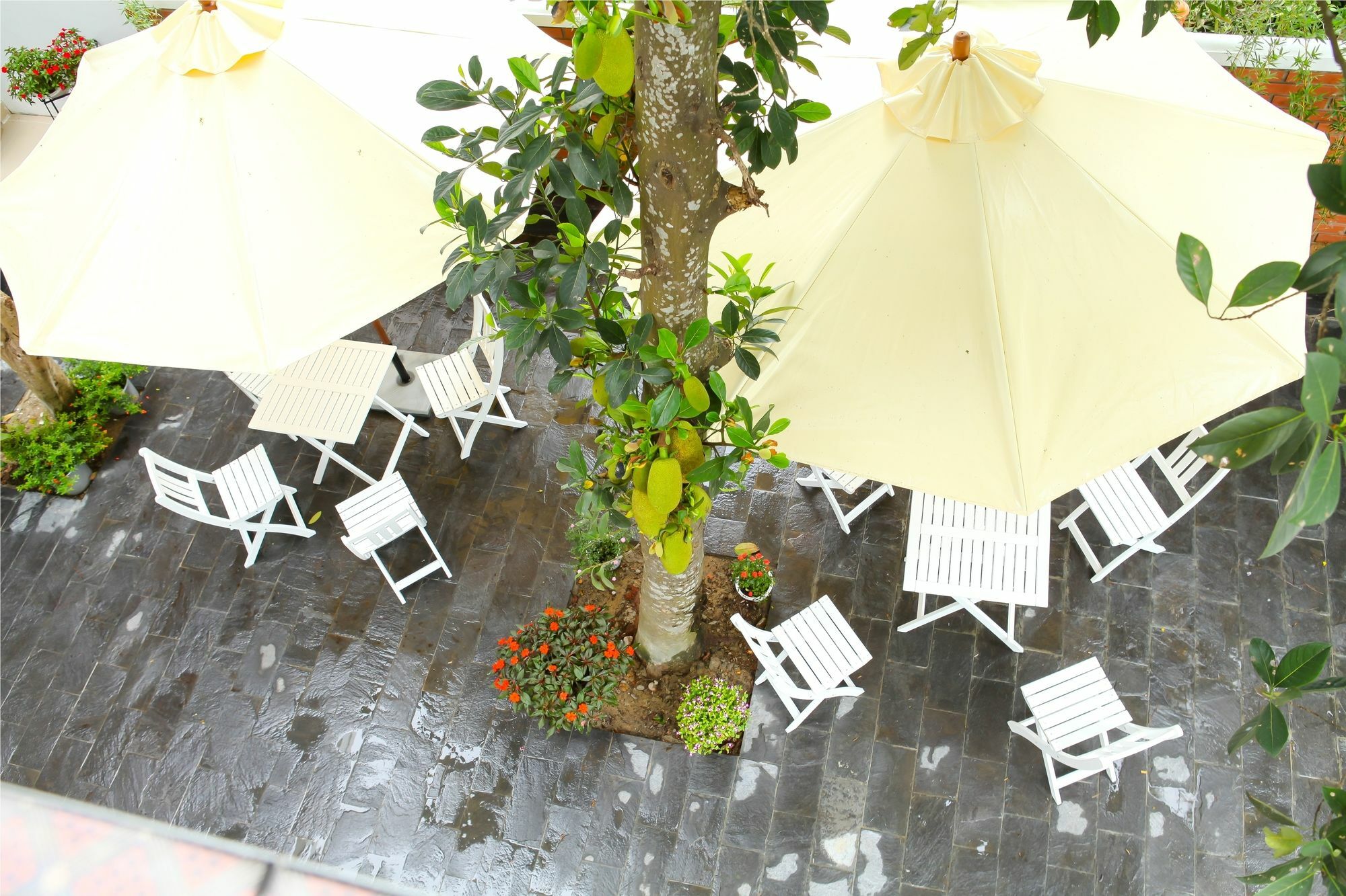 Blue Lake Homestay Hoi An Luaran gambar